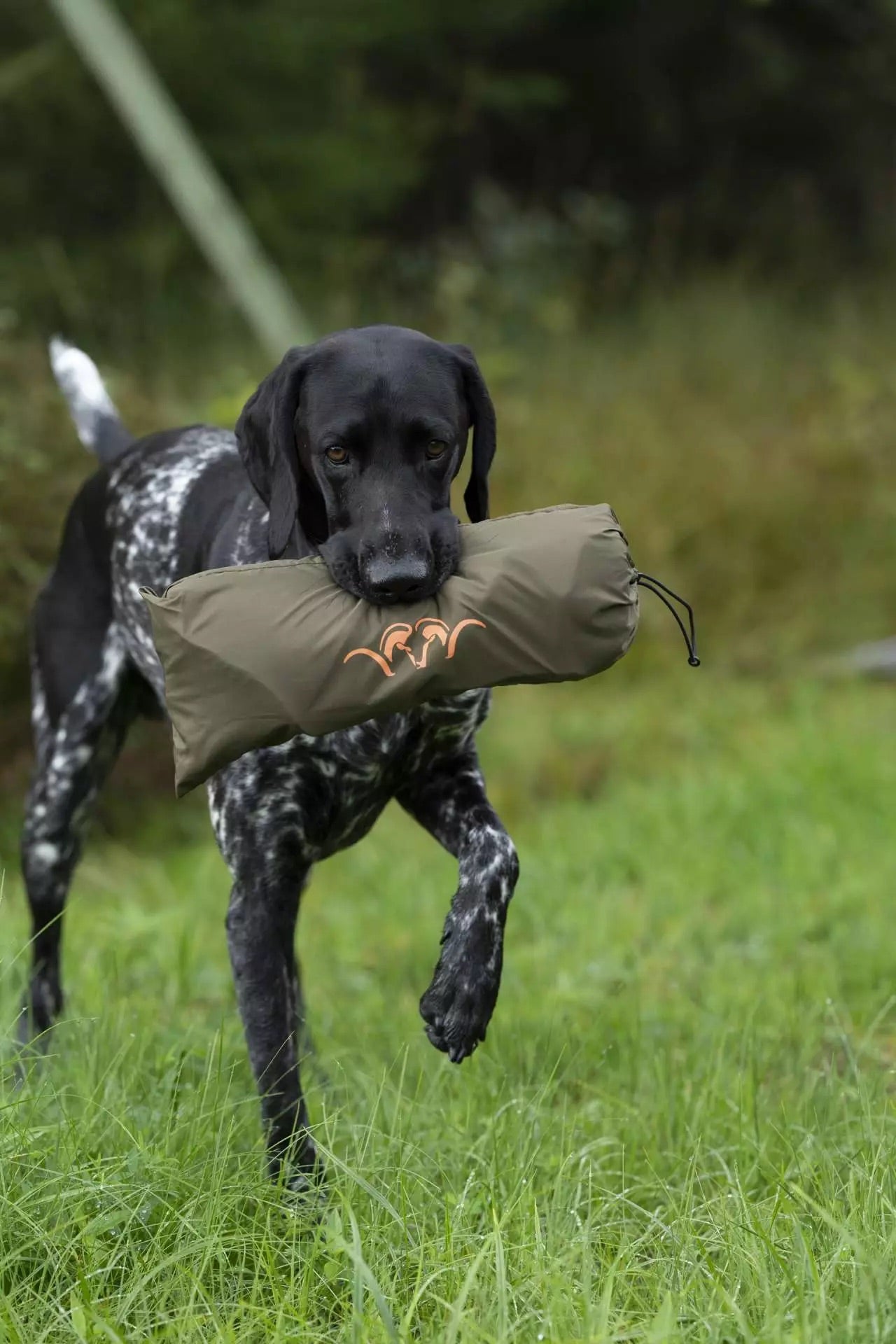 Manta para Perros Blaser