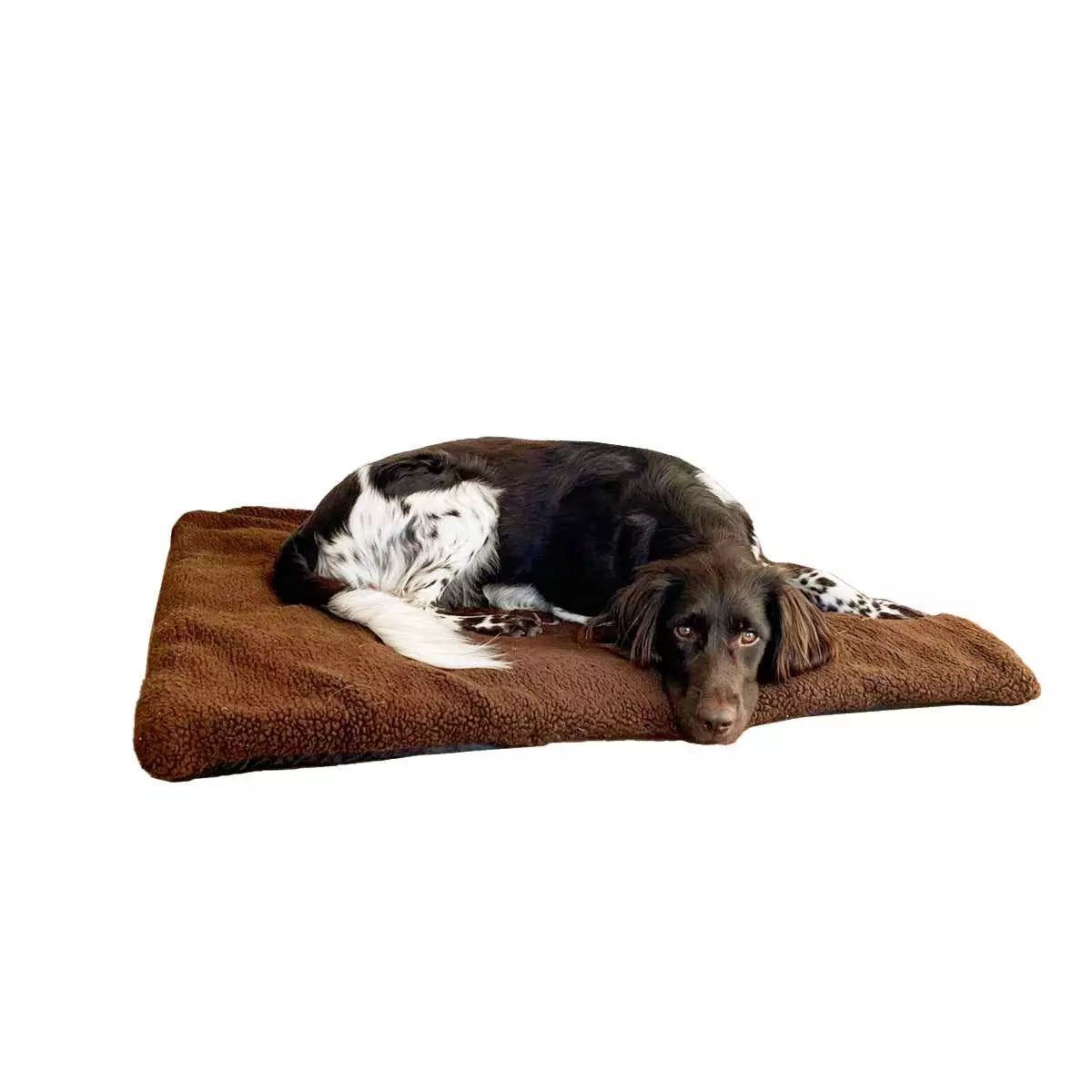 Cama para Perros con Forro Polar Blaser