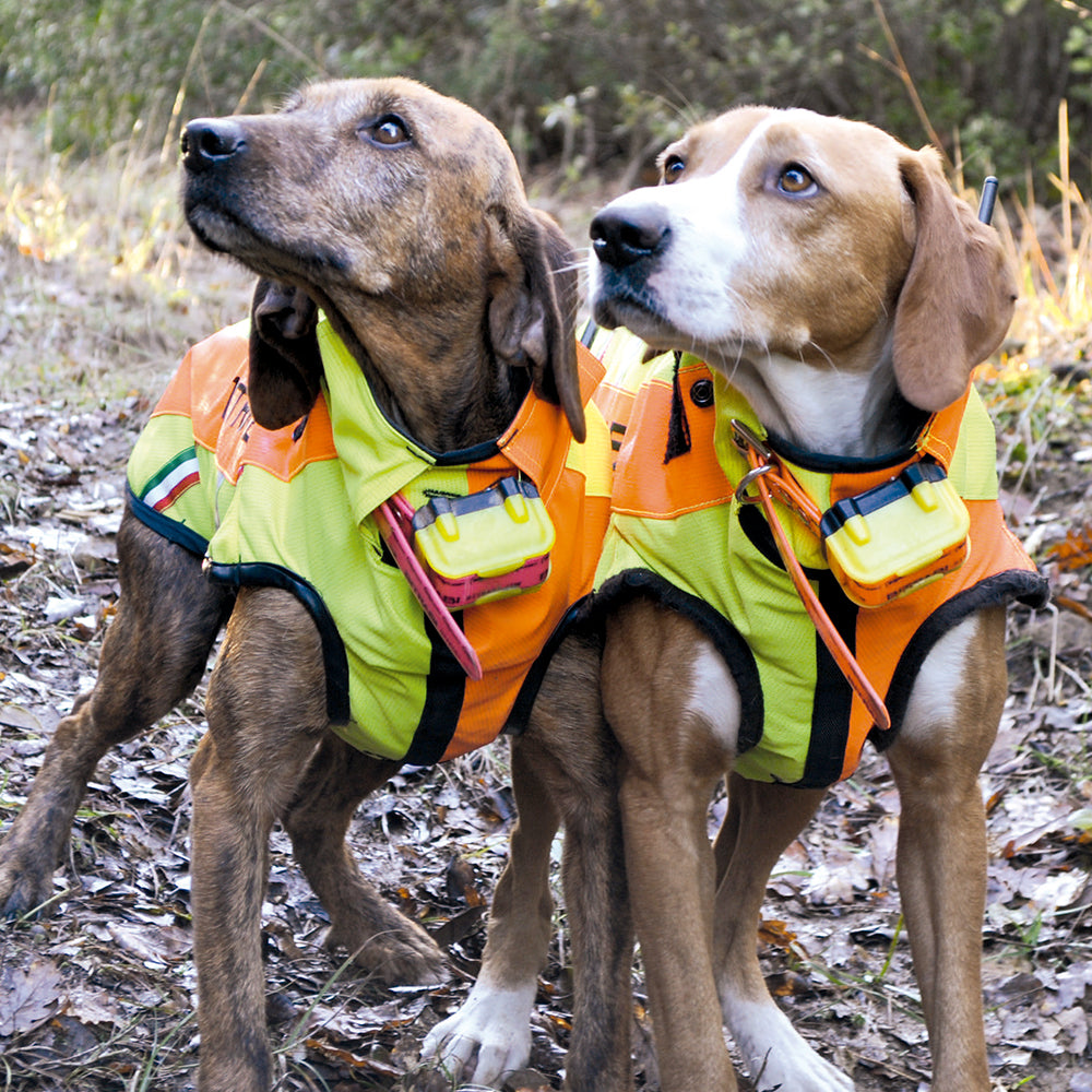 Chaleco protector para perros  BITRABI Sicur Dog