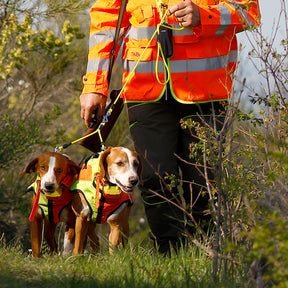 Chaleco protector para perros  BITRABI Sicur Dog