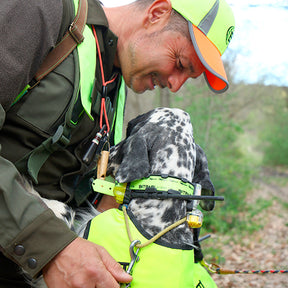 Kit Collar Radio GPS Mito 5100 con Beeper + Mando localizador BS 3003 Evomap Elite BITRABI perros de muestra