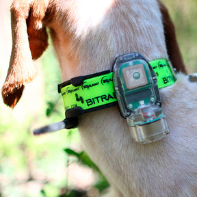 Kit Collar Radio GPS Mito 5100 con Beeper + Mando localizador BS Planet 3000 Open Map Unico BITRABI