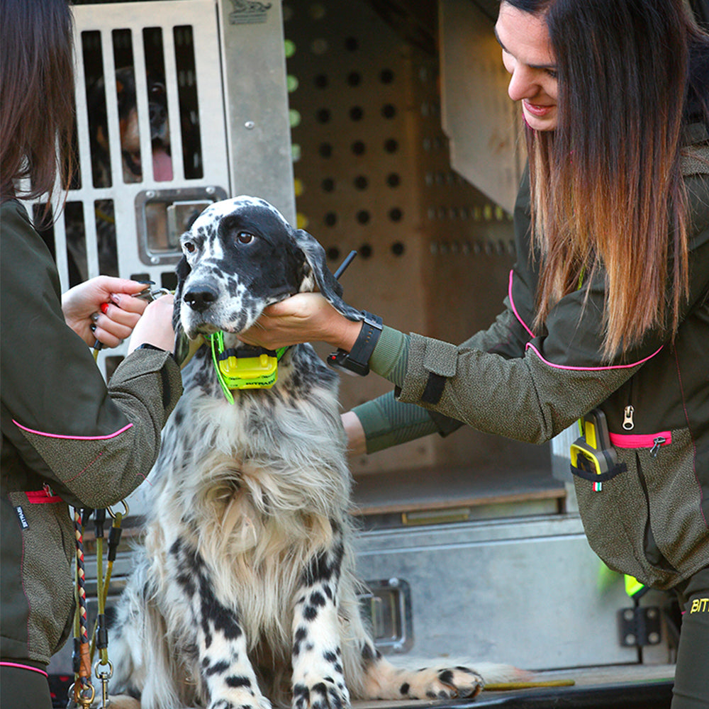 Módulo de entrenamiento para perros de caza BITRABI Mito BTB5000