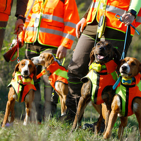 Módulo de entrenamiento para perros de caza BITRABI Mito BTB5000