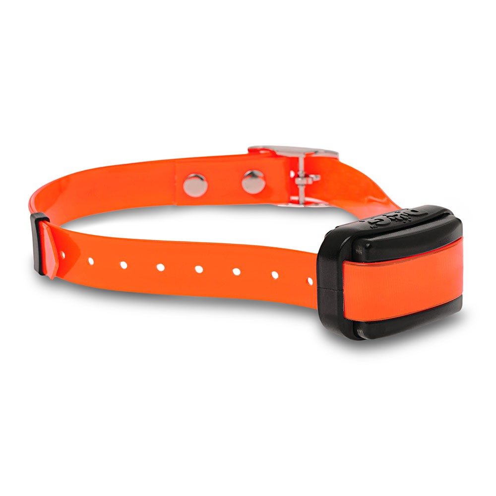 Radio collar educativo DogTrace Professional 2000 Mini+ color negro/naranja