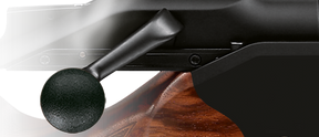 Rifle Blaser R8 Professional